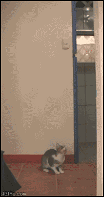 2012-01-27 00:19:43
